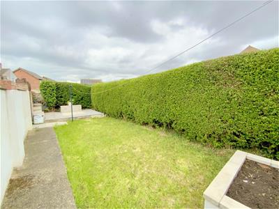 Picture 20